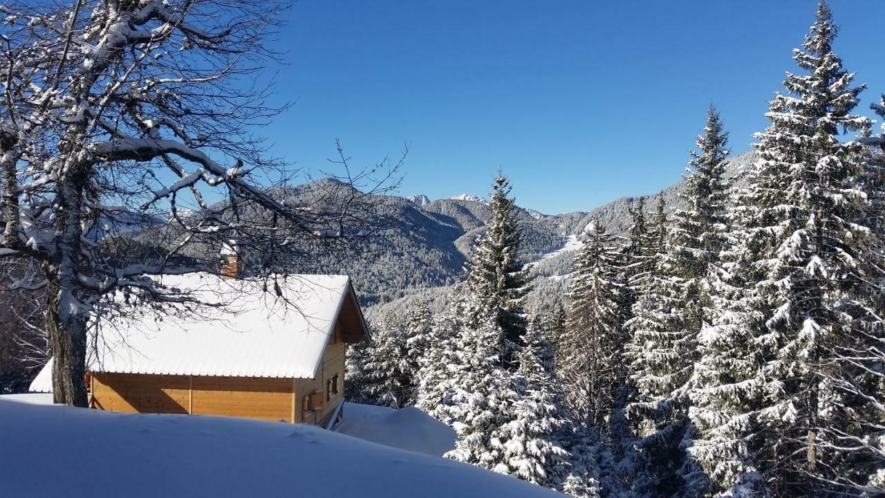 Вілла Agriturismo Gacceman Ugovizza Екстер'єр фото